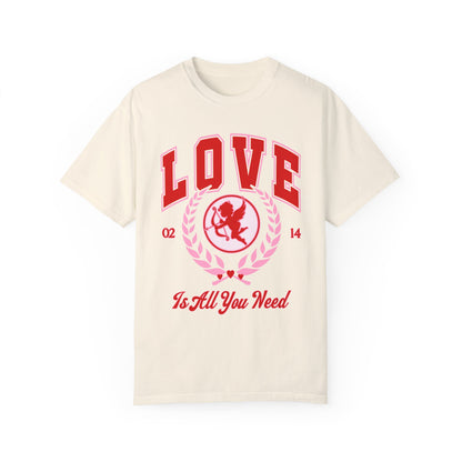 Comfort Colors Love Is All You Need Shirt