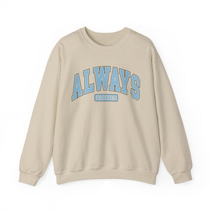 Always Freezing Sweatshirt