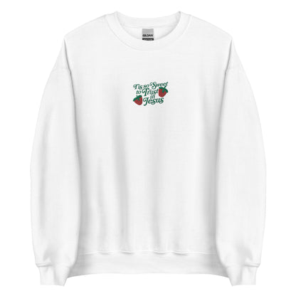 Embroidered Christian Trust in Jesus Sweatshirt